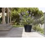 Pottery Pots Natural Bucket ronde plantenbak zwart balkon